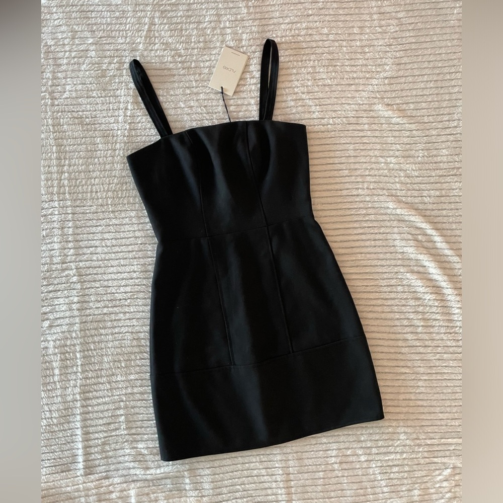 ALEXIS Vonte Mini dress Size XS